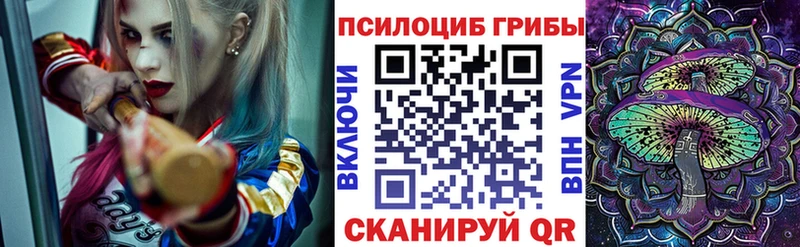 кракен ссылки  купить наркотики сайты  Бородино  Псилоцибиновые грибы Cubensis 